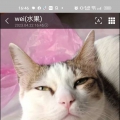 我的相冊