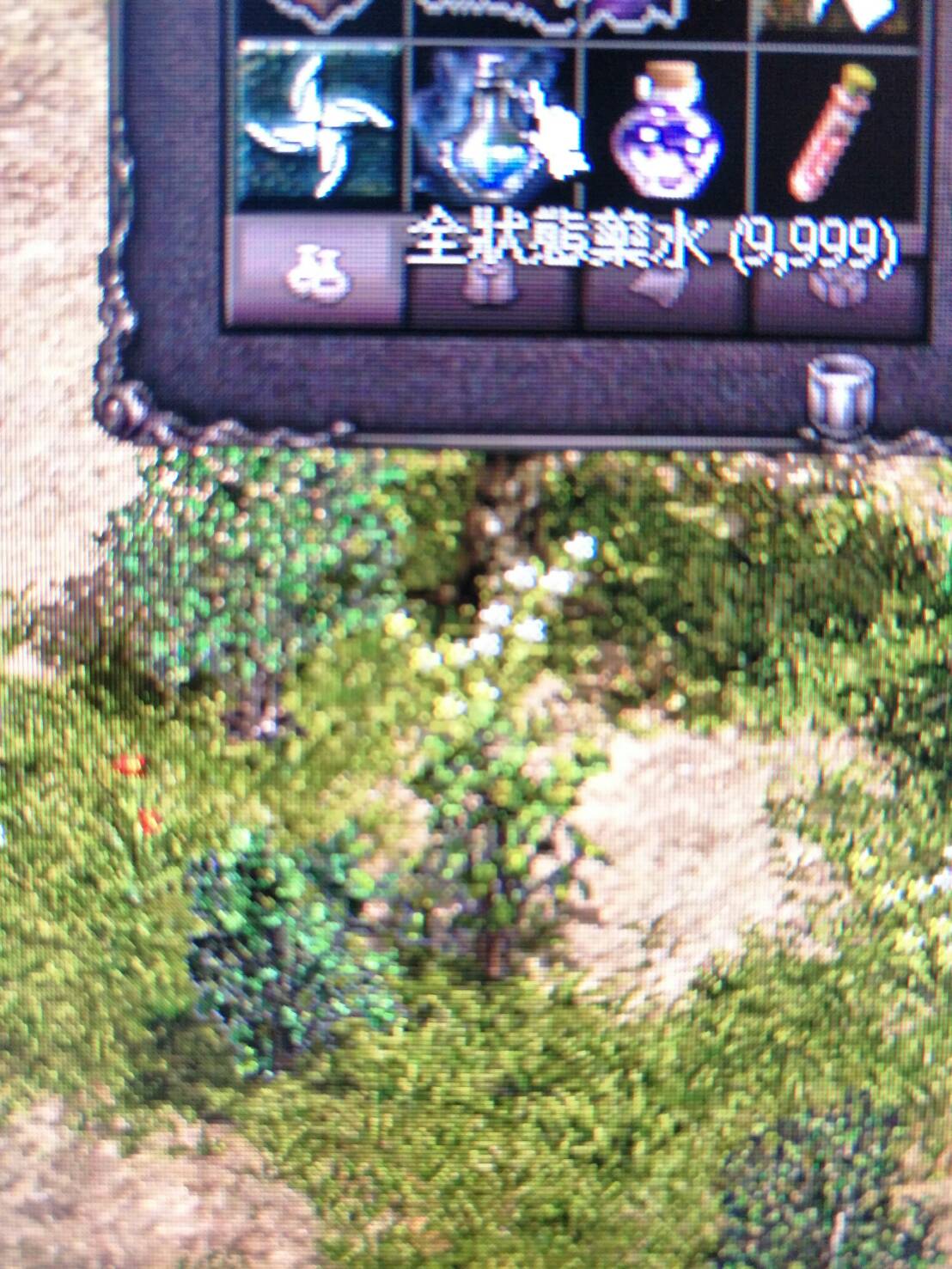 28625.jpg
