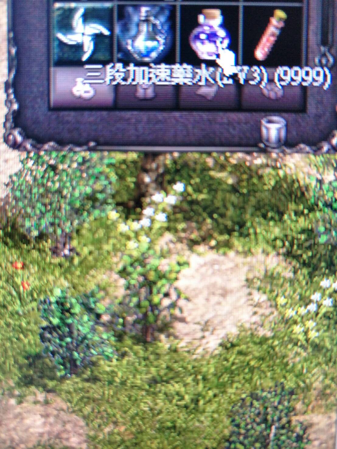 28626.jpg