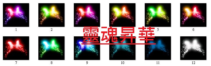 333.JPG