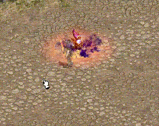 20201130_122234.gif