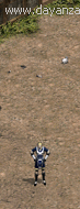 生祝.gif