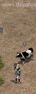 精準.gif