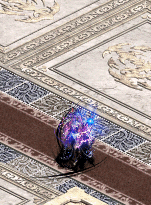 5.gif