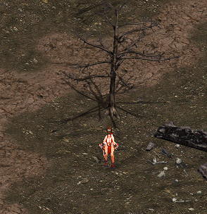 5.gif