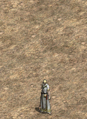 (神聖 擬似 祝福)魔法武器.gif