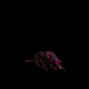 16154.gif