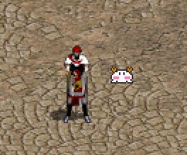 01.jpg